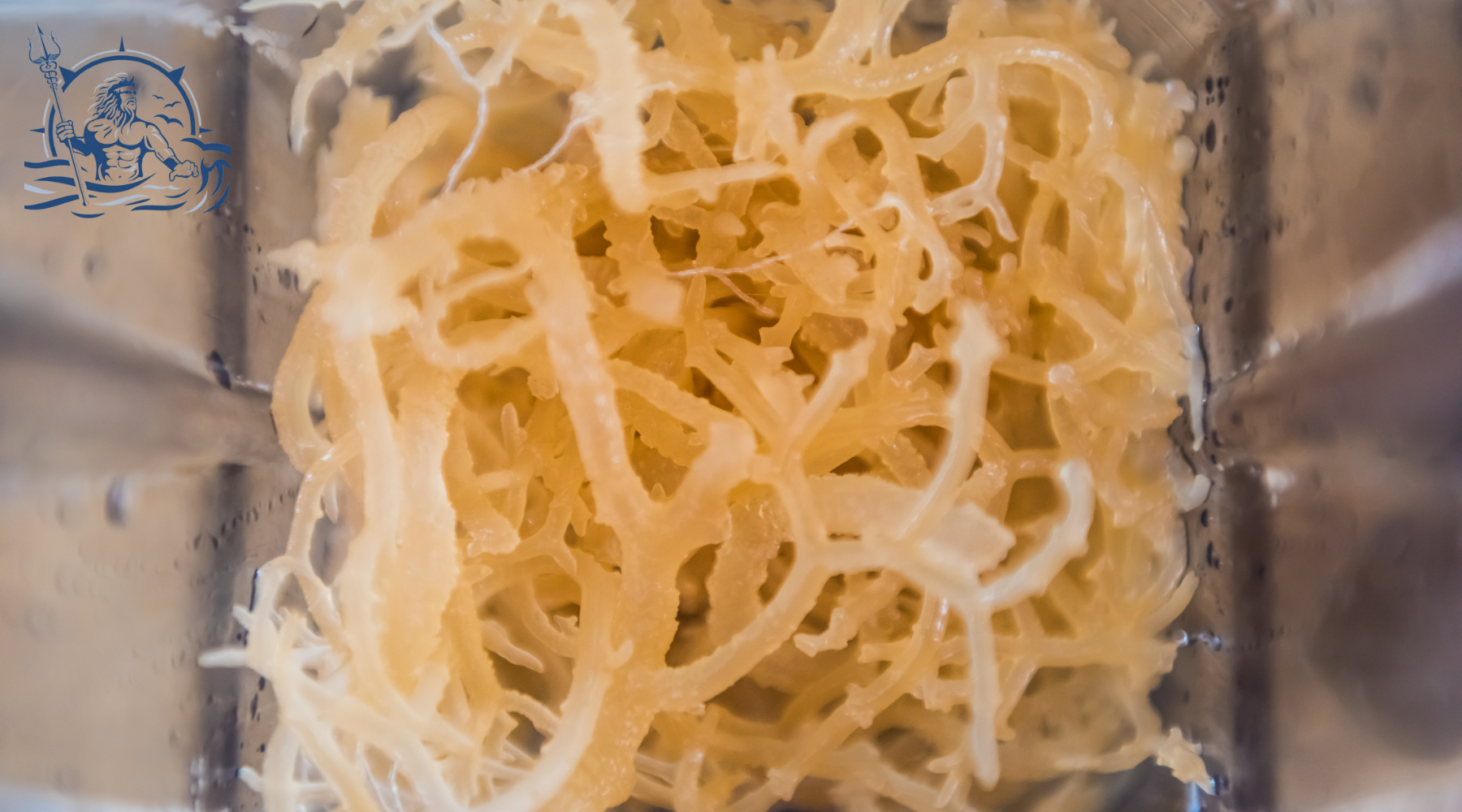 Sea Moss Gel Superfood