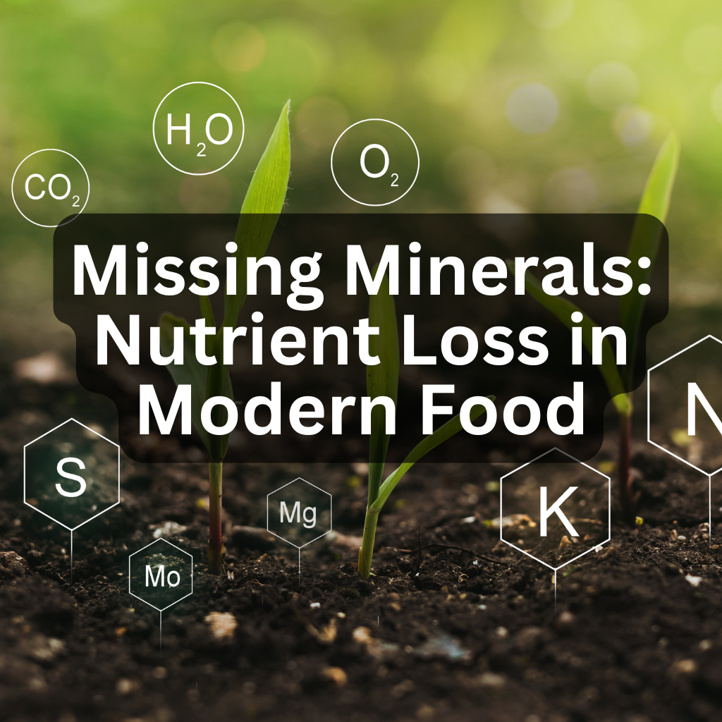 The Hidden Crisis: Mineral Deficiencies in the Modern American Diet